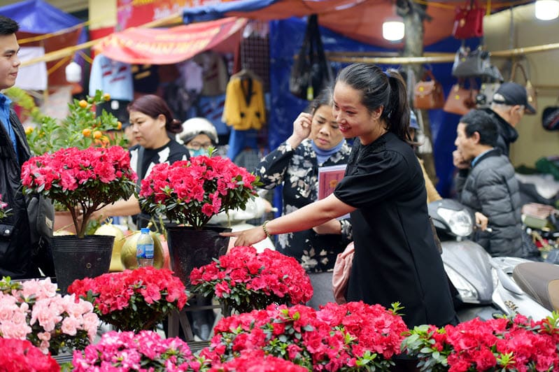 Chợ hoa Tết thời vụ Hàng Lược ở Hà Nội