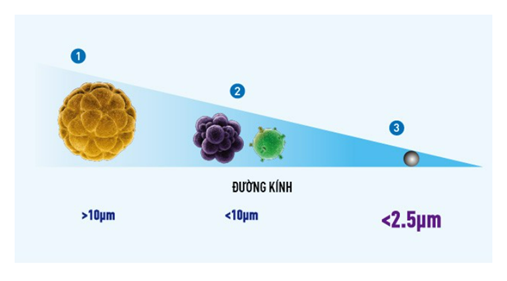 Kích thước của bụi mịn PM 2.5 so với phấn hoa và vi khuẩn