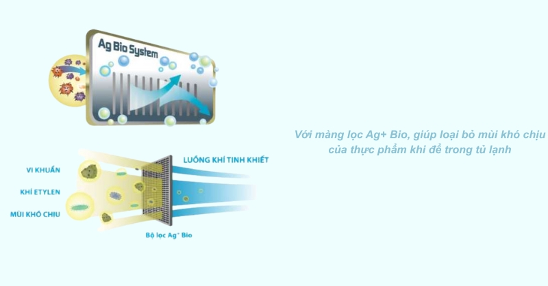 Bộ lọc Ag+ Bio trên tủ lạnh Toshiba