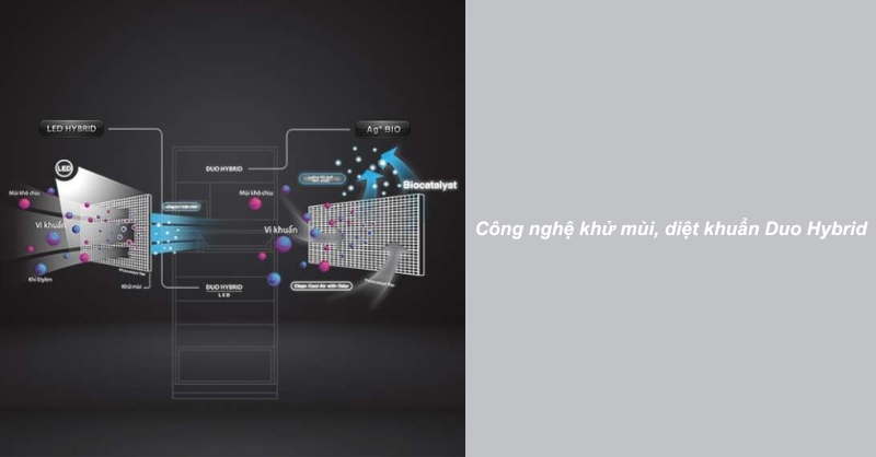 Hệ thống khử mùi kháng khuẩn Duo Hybrid trên tủ lạnh Toshiba