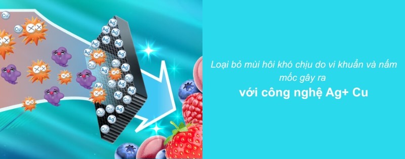 Tủ lạnh Sharp có công nghệ khử mùi, diệt khuẩn Ag+ Cu