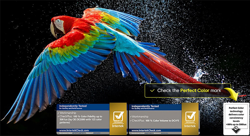 Dynamic QNED Color tivi LG