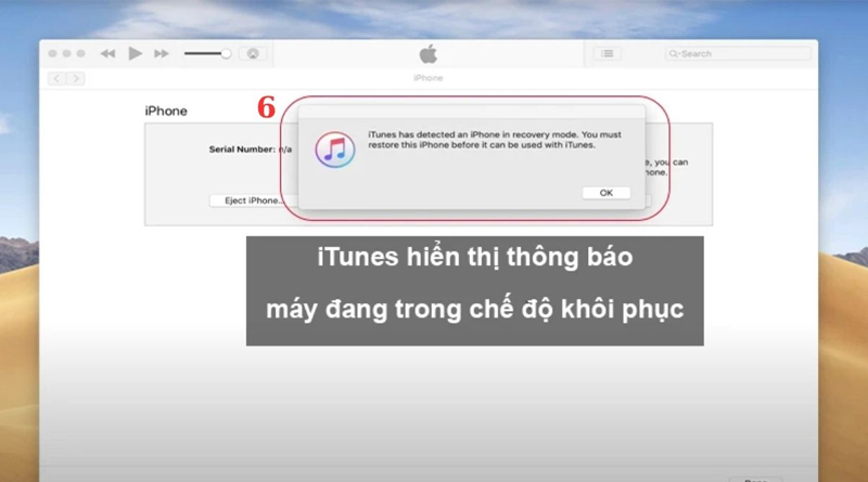 Restore điện thoại iPhone về chế độ DFU thành công