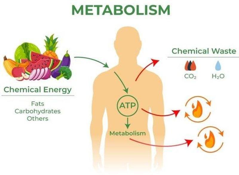 Người bị hội chứng kiềm chuyển hóa cũng không nên dùng nước ion kiềm