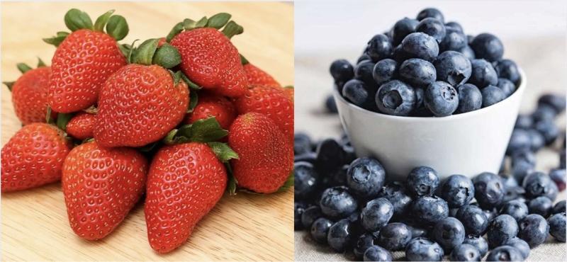 Dâu tây và việt quất tươi – nguyên liệu chính làm Trifle Noel