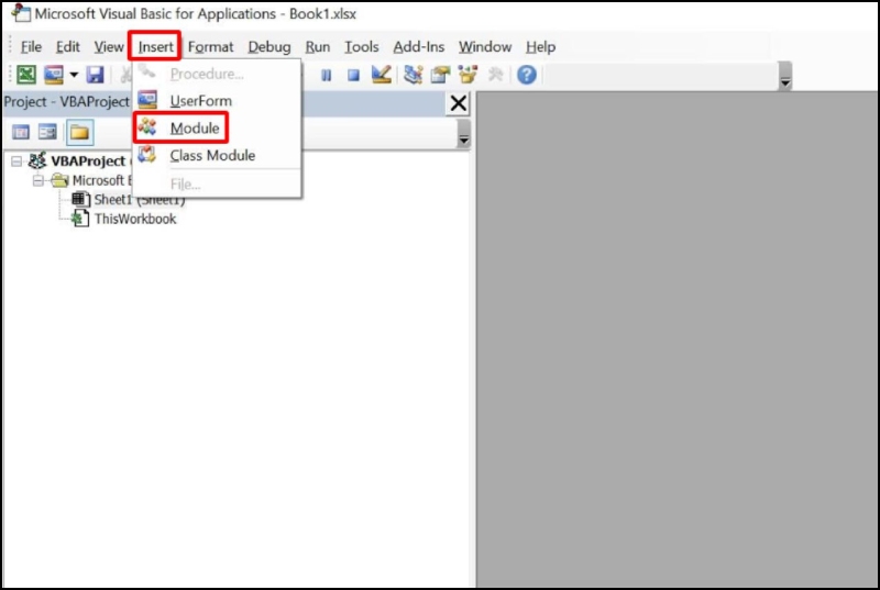 Chọn Insert từ menu và chọn Module