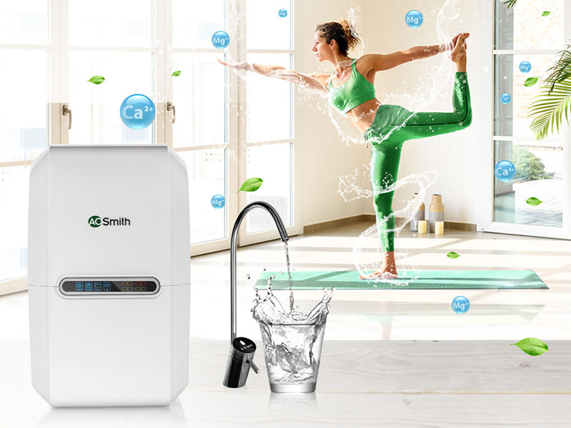 Máy Lọc Nước A. O. Smith Vita Plus