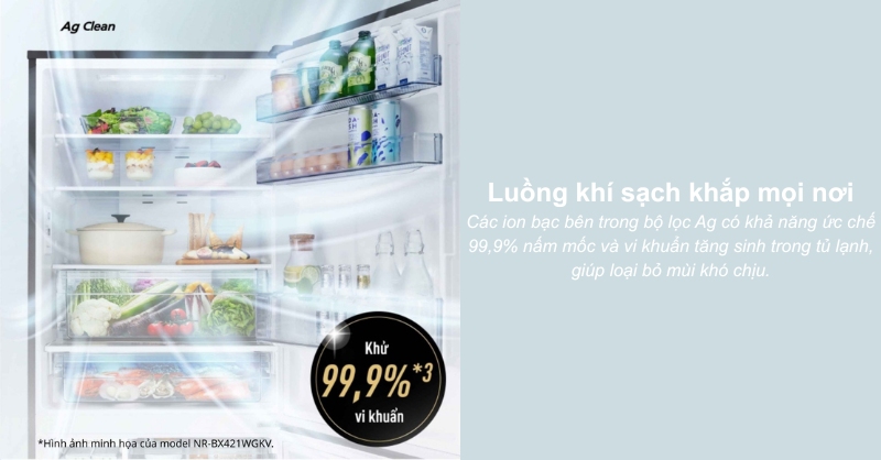 Công nghệ Ag Clean giúp tủ lạnh Panasonic luôn sạch khuẩn và không bám mùi