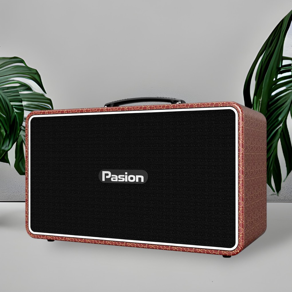Công nghệ DSP kép 32 bit loa Paramax PASION Arte (Golden Red)
