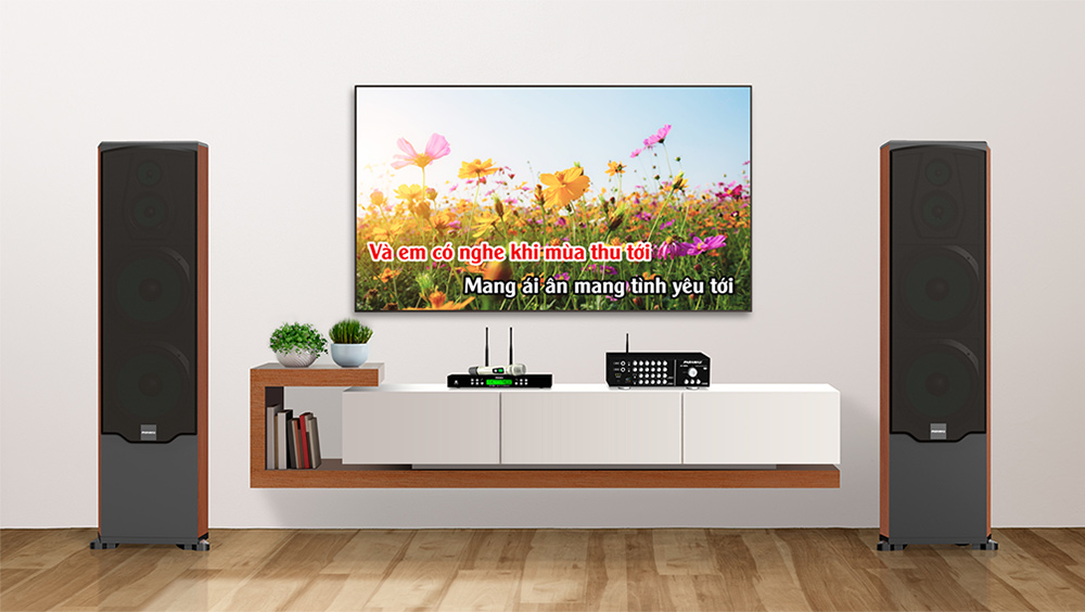 Lưu ý khi lắp đặt loa loa đứng Karaoke & nghe nhạc Paramax LX-2800