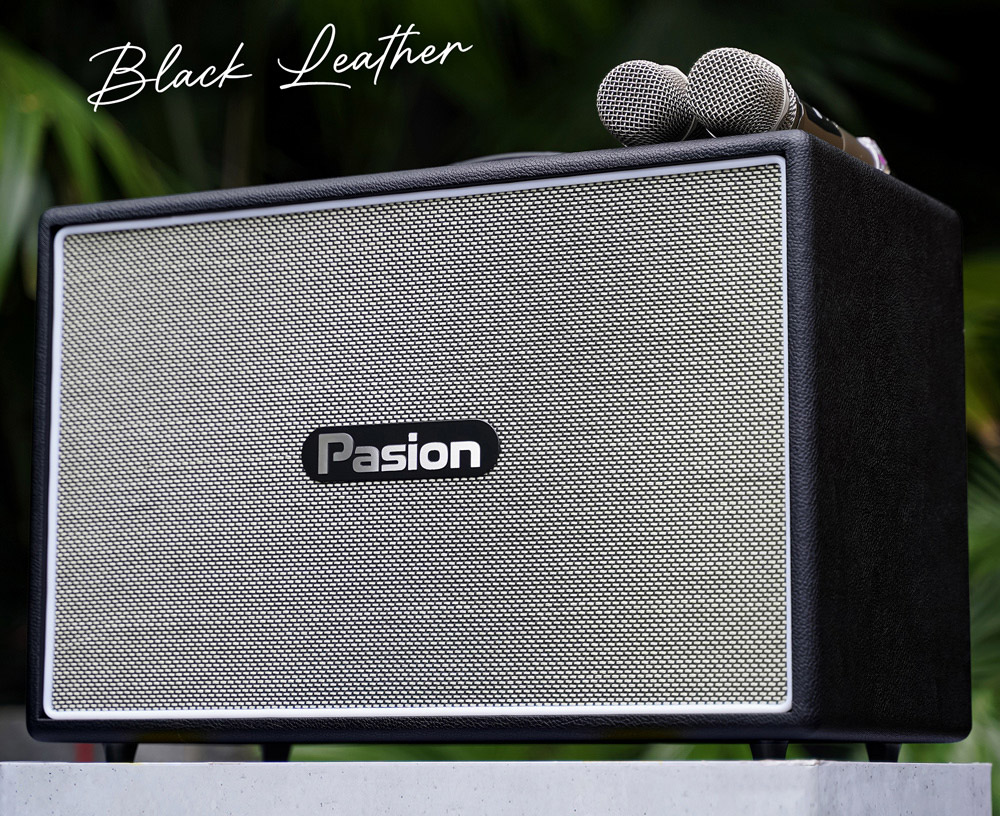 Thiết kế loa Karaoke di động xách tay Paramax PASION Outro (Black Leather)