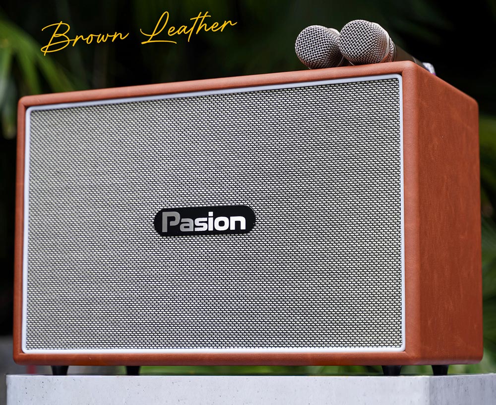 Thiết kế loa Karaoke di động xách tay Paramax PASION Outro (Brown Leather)
