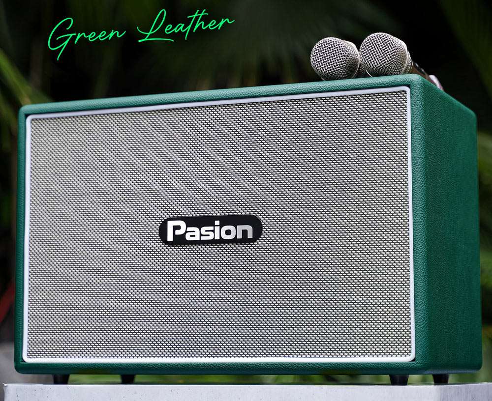 Thiết kế loa Karaoke di động xách tay Paramax PASION Outro (Green Leather)