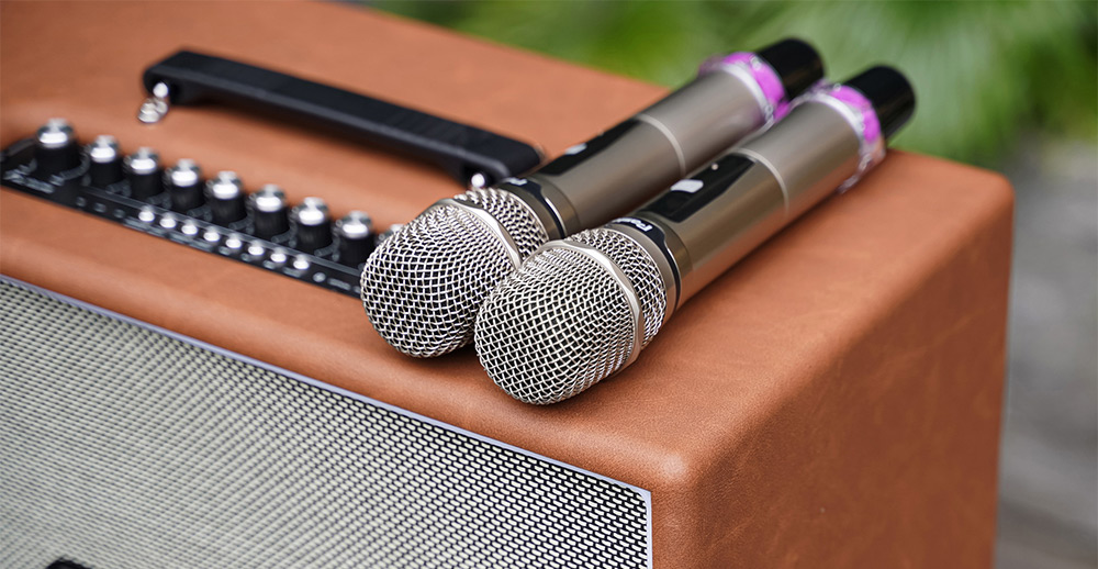Đi kèm 2 micro loa Karaoke di động xách tay Paramax PASION Outro