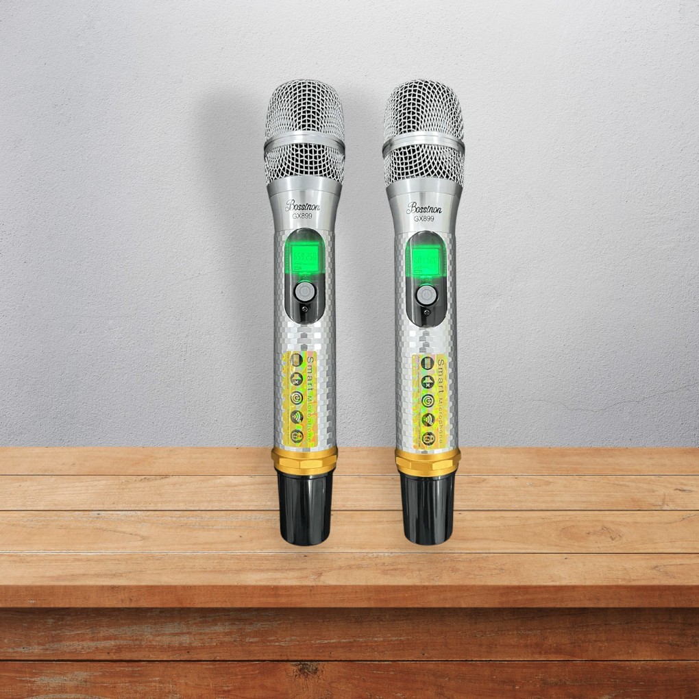 Sản phẩm đi kèm 2 micro không dây cao cấp