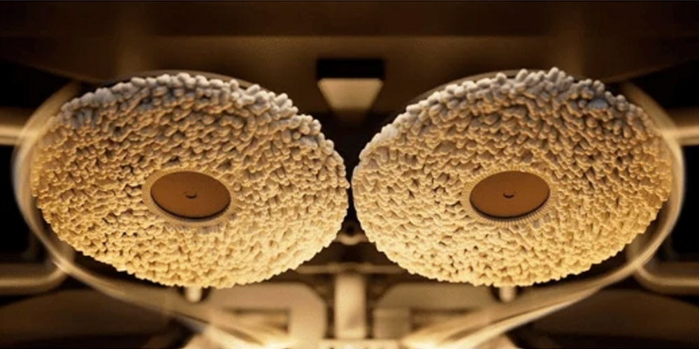 Sấy khô bằng khí nóng 45oC