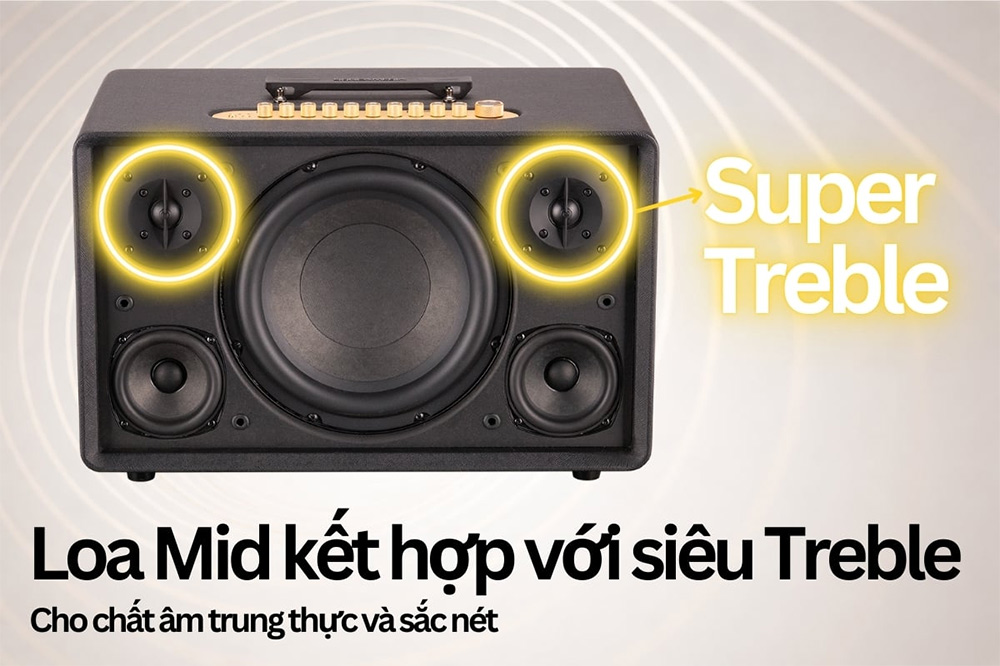Loa mid kết hợp với siêu treble loa Karaoke di động Acnos Flac 39 màu đen