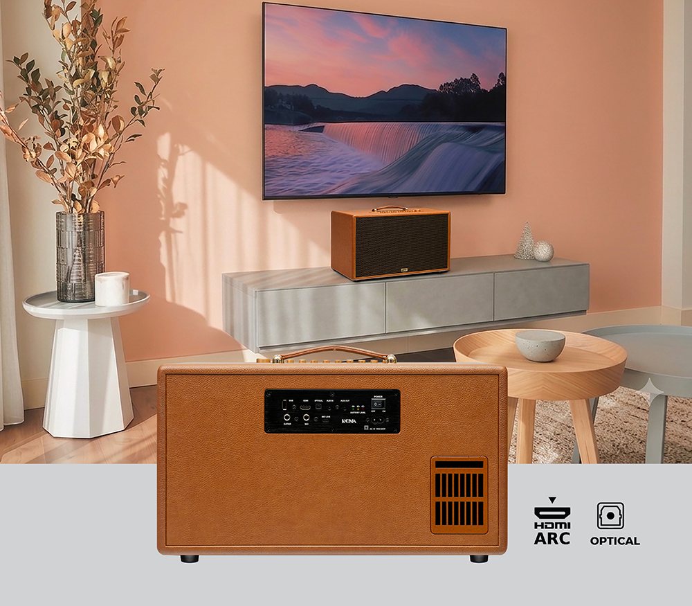 Loa còn được tích hợp các cổng kết nối có dây