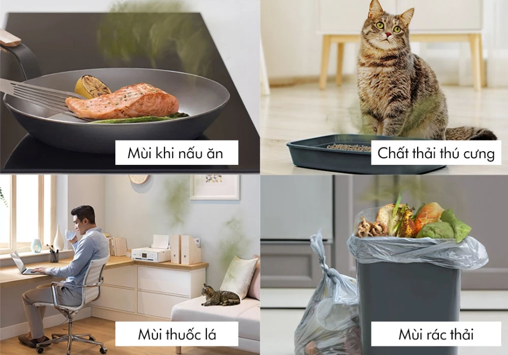 Máy Lọc Không Khí Dyson TP10 duy trì bầu không khí thơm mát