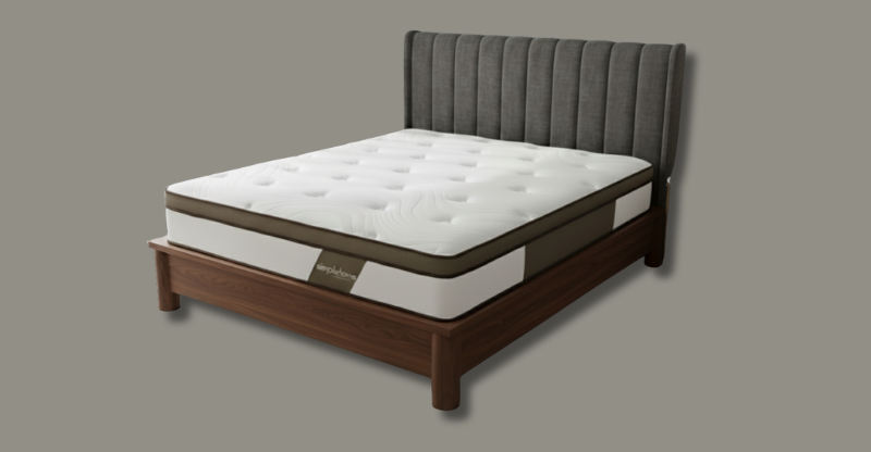 Dáng nệm hiện đại, sang trọng