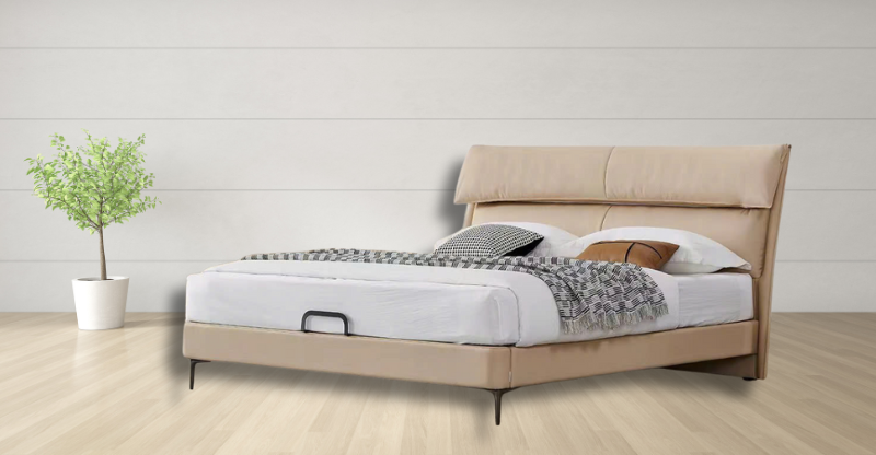 Kiểu dáng sang trọng, thu hút mọi ánh nhìn