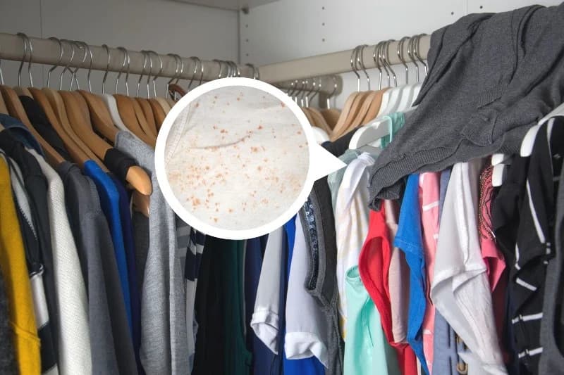 Cất quần áo bẩn cùng quần áo sạch khiến tủ có mùi