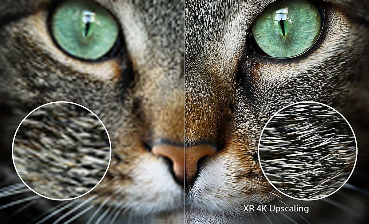 XR 4K Upscaling giúp nâng cấp độ chi tiết của hình ảnh đầu vào