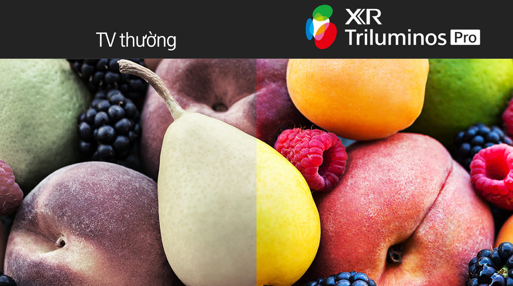 XR Triluminos Pro giúp hiển thị hình ảnh rực rỡ và sinh động