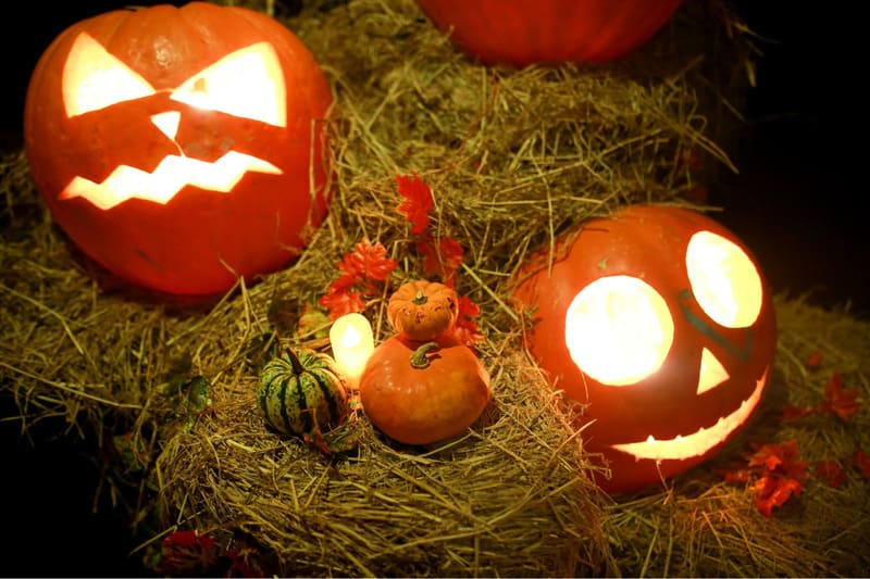 Trang trí đèn lồng bí ngô