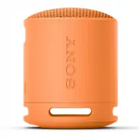 Loa Bluetooth Sony SRS-XB100