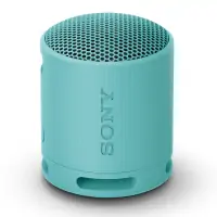 Loa Bluetooth Sony SRS-XB100