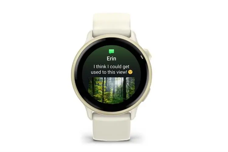 Garmin Vivoactive 6 42.2mm dây silicone 0