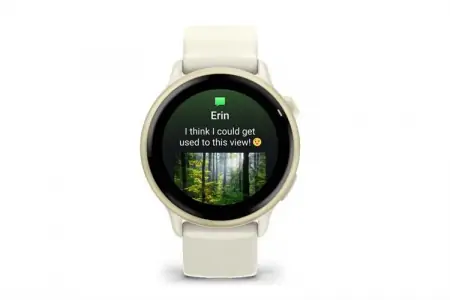 Garmin Vivoactive 6 42.2mm dây silicone 0