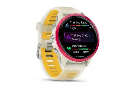 Garmin Forerunner 570 42mm dây silicone 1