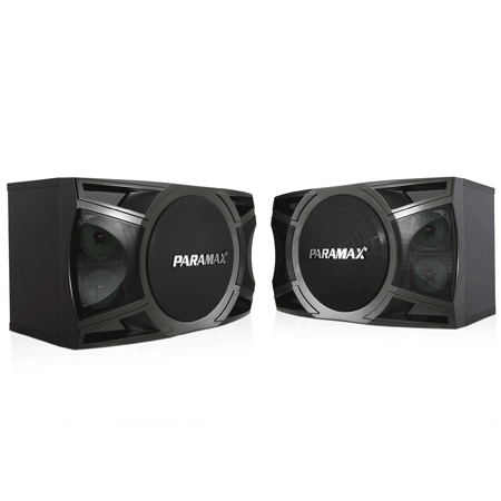 Loa Paramax P-1000 0