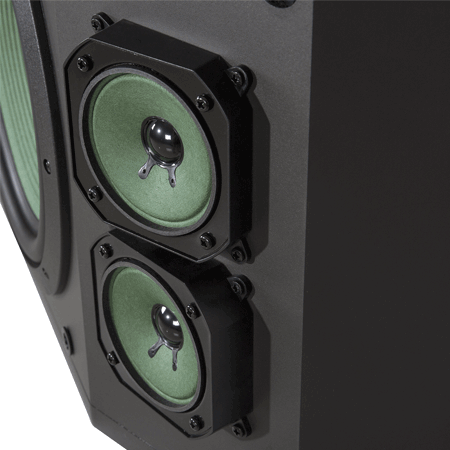 Loa Paramax P-1000 5