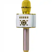 Micro Không Dây Icore Kèm Loa IC-M99