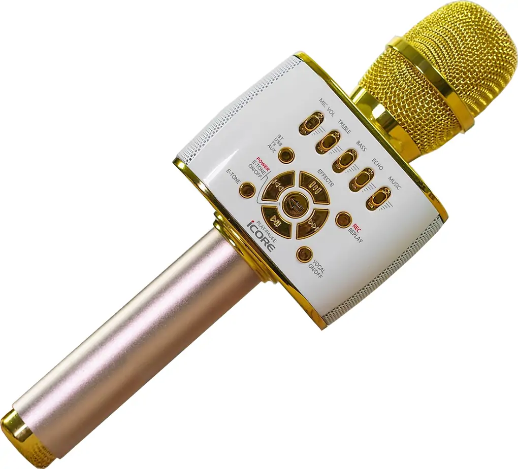 Micro Không Dây Icore Kèm Loa IC-M99 (Sản phẩm trưng bày)