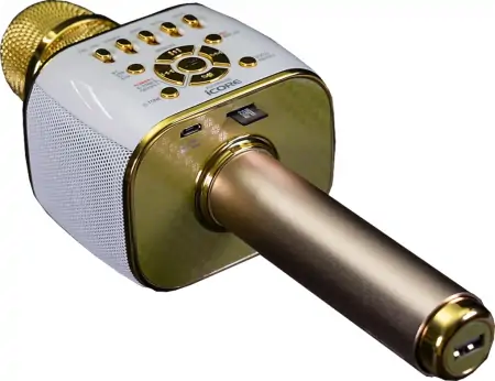 Micro Không Dây Icore Kèm Loa IC-M99 1