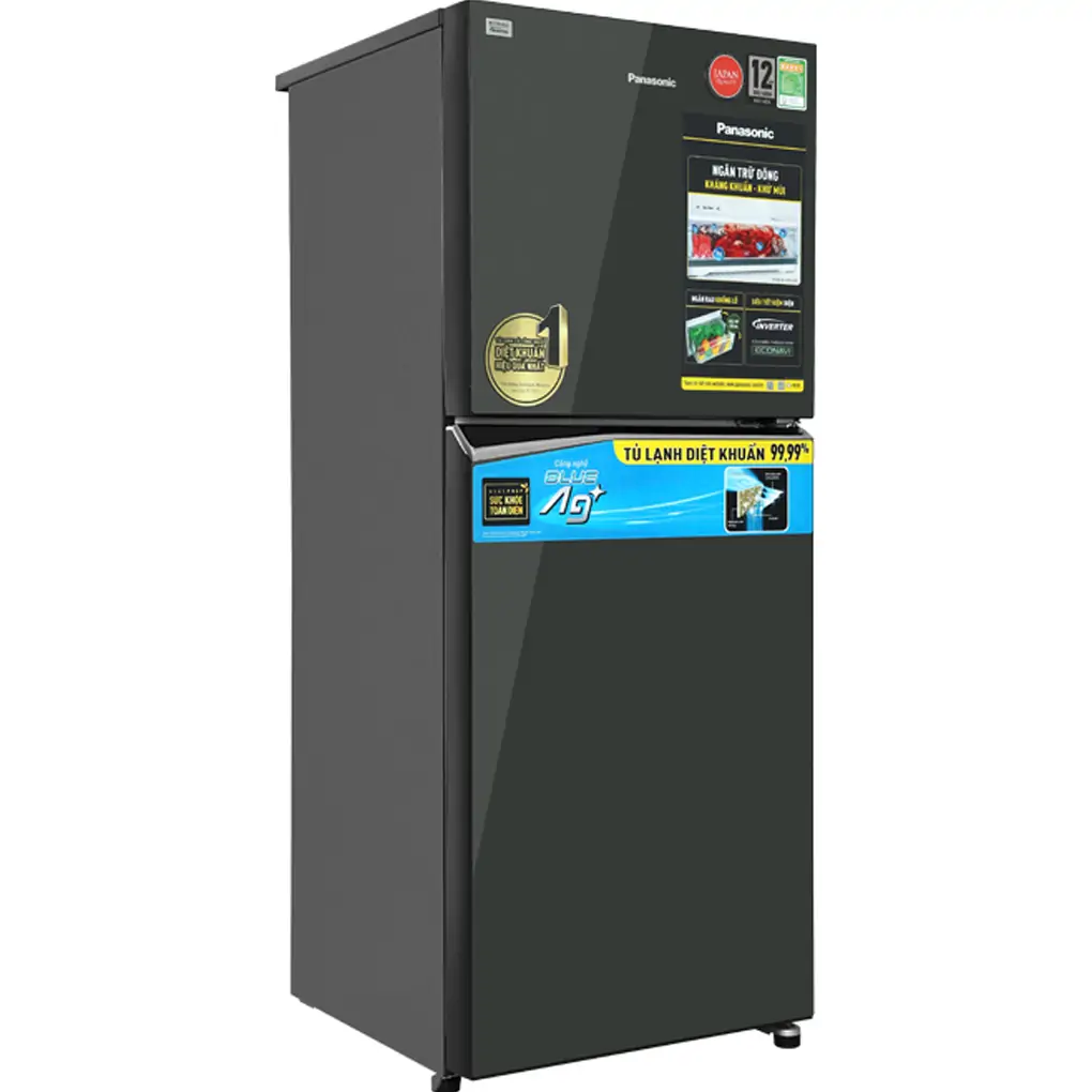 Tủ Lạnh Panasonic Inverter 268 Lít NR-TV301VMGV 0