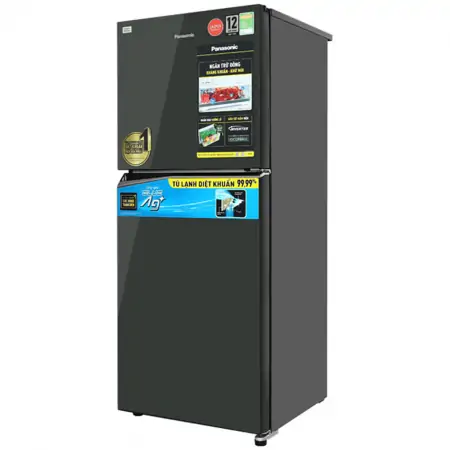 Tủ Lạnh Panasonic Inverter 268 Lít NR-TV301VMGV 1