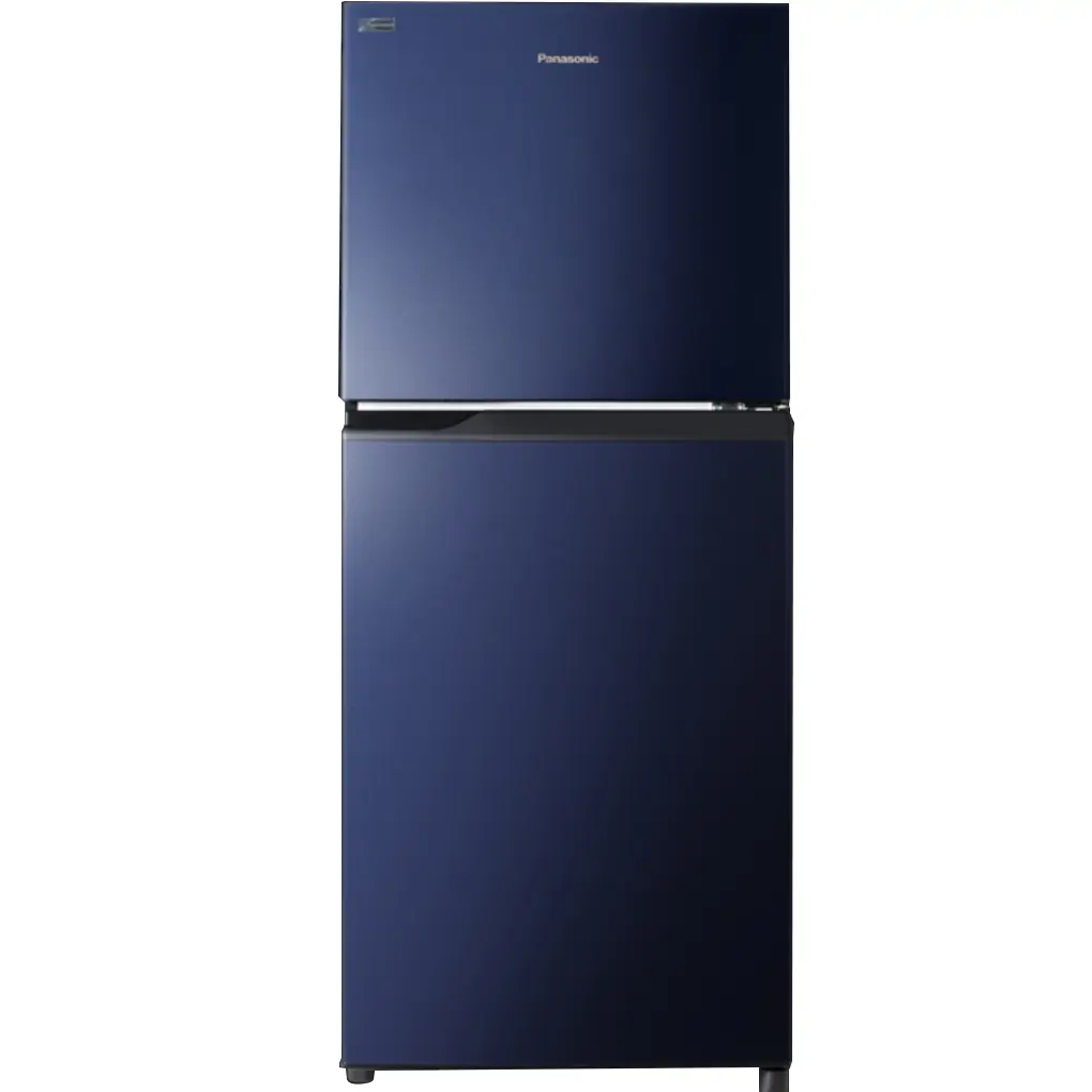Tủ Lạnh Panasonic Inverter 234 Lít NR-TV261BPAV 1
