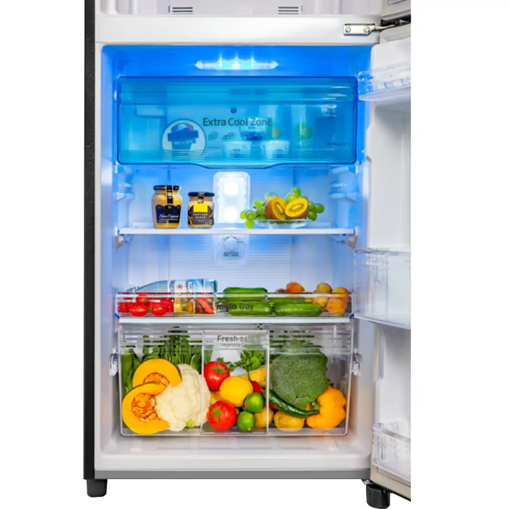 Tủ Lạnh Panasonic Inverter 234 Lít NR-TV261BPAV 2