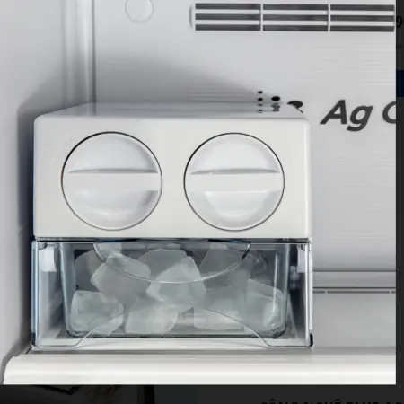 Tủ Lạnh Panasonic Inverter 326 Lít NR-TL351BPKV 3