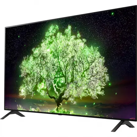 Smart Tivi LG 4K 55 Inch OLED 55A1PTA 2