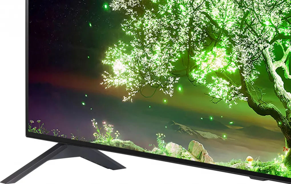 Smart Tivi LG 4K 55 Inch OLED 55A1PTA 6