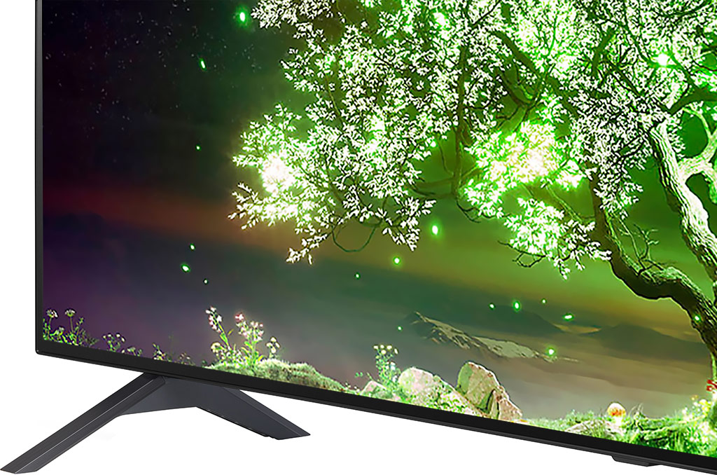 Smart Tivi LG 4K 65 Inch 65A1PTA 6