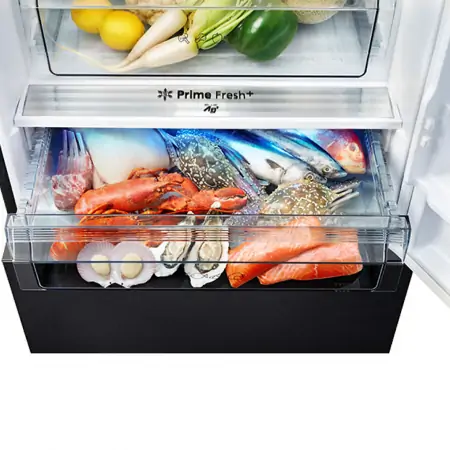 Tủ Lạnh Panasonic Inverter 420 Lít NR-BX471WGKV 3