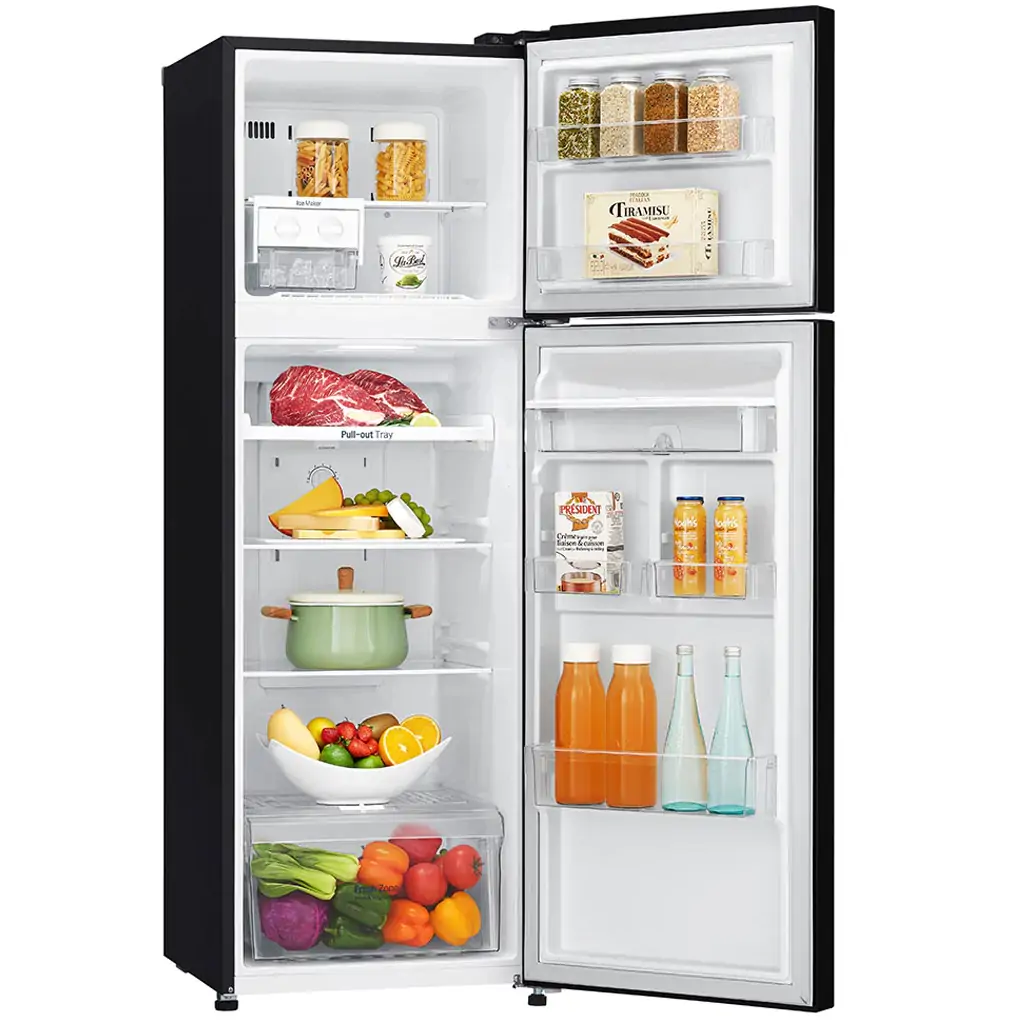 Tủ Lạnh LG Inverter 255 Lít GN-D255BL 3