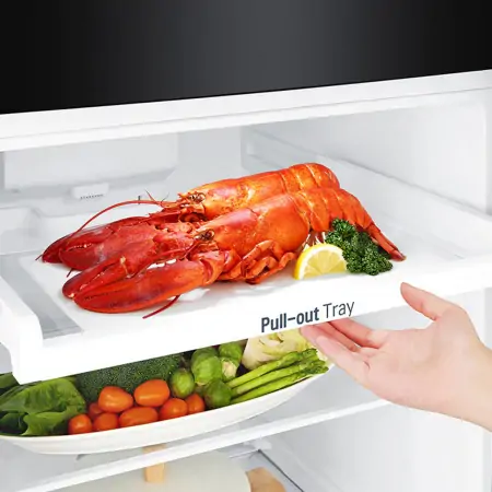 Tủ Lạnh LG Inverter 255 Lít GN-D255BL 4